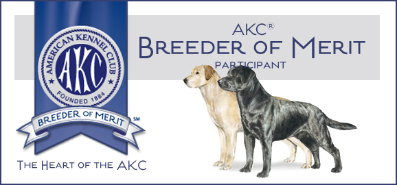 Credential AKC Breeder of Merit
