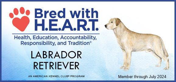 Credential AKC Bred with Heart Breeder