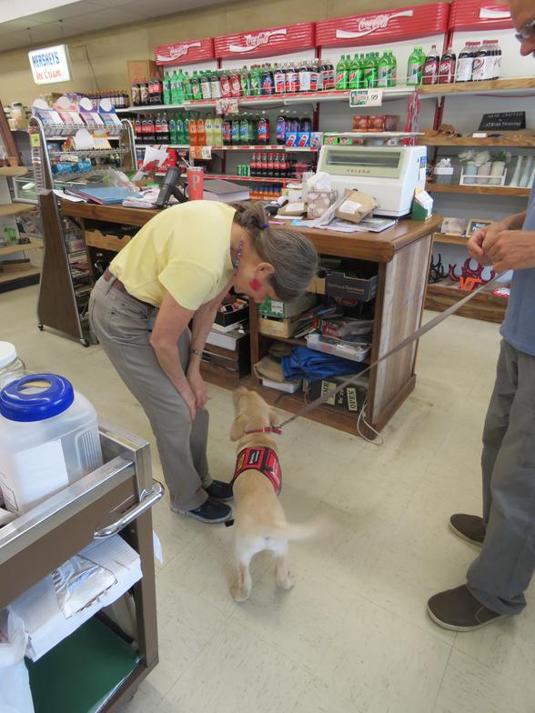 Credential Service Dog Puppy Suppliers