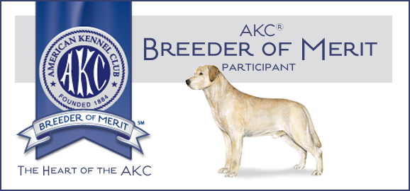 AKC Breeder of Merit